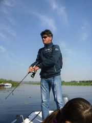 Profil